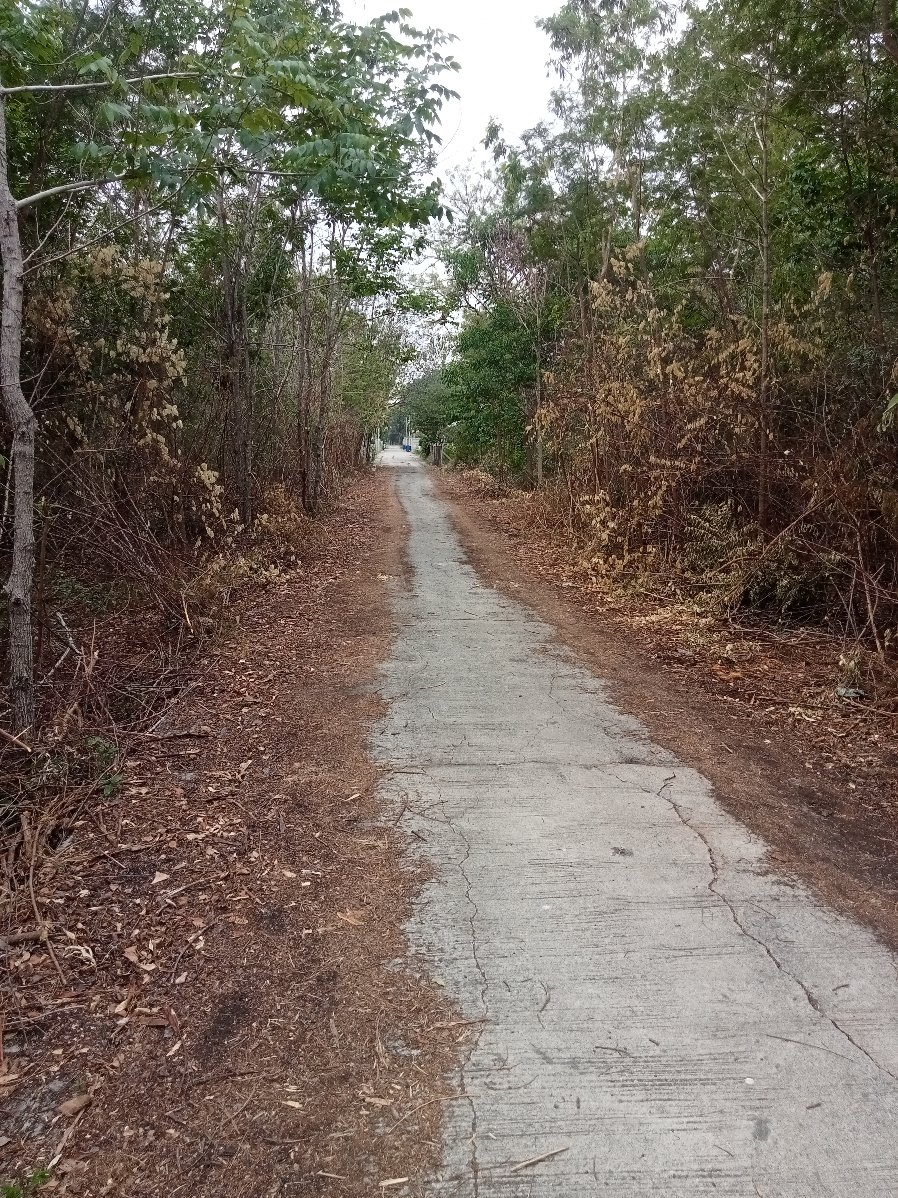 ที่ดินเปล่าถูกมาก ใกล้ชุมชน พระพุทธบาทสระบุรี 3.67 ไร่ (ไร่ล่ะ 272,480  เหมาะลงทุน)